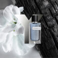 Y_eau_de_toilette_ysl_n2_2048x