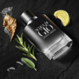 acqua-di-gio-parfum-n_2048x
