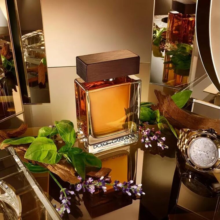 81oYt2Bn1jL._UF1000,1000_QL80_