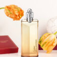 cartier-declaration-edp-for-men-100ml-2