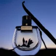 chloe_nomade_nuit_d_egypte_eau_de_parfum_n_2048x
